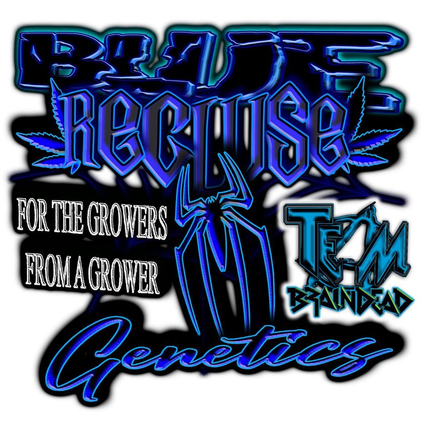 Logo Bluerecluse Genetics