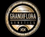 Logo Grandiflora Genetics