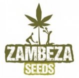 Logo Zambeza