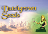 Logo Dutchgrown Seeds