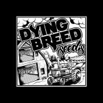 Logo Dying Breed Seeds