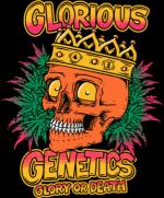Logo Glorious Genetics
