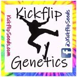 Logo Kickflip Genetics