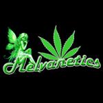 Logo Melvanetics