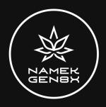 Logo Namek Gen8x