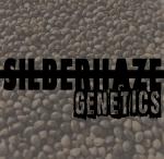 Logo Silberhaze Genetics