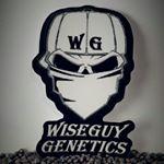 Logo Wiseguy Genetics