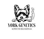 Logo York Genetics