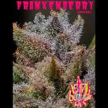 517 Legend Seed Co FrankenBerry