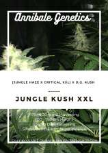 Annibale Genetics Jungle Kush XXL