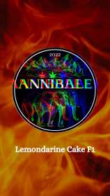 Annibale Genetics Lemondarine Cake