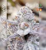 Beleaf Cannabis White Truffle S1