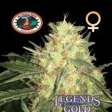 Big Buddha Seeds Legends Gold