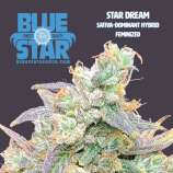 Blue Star Seed Co Star Dream