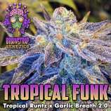 Brainstrap Genetics Tropical Funk