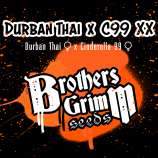 Brothers Grimm Durban-Thai x C99 XX