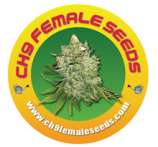 CH9 Female Seeds Afghani Milk