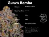 Compound Genetics Guava Bomba