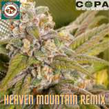 Copa Genetics Heaven Mountain Remix