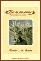 De Sjamaan Shamanic Haze