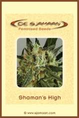 De Sjamaan Shaman's High #2