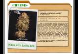 D+Calidad Seeds Cheese+
