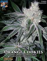 Dr. Blaze Orange Cookies
