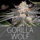 Exclusive Seeds Gorilla Wolf