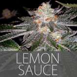 Exclusive Seeds Lemon Sauce