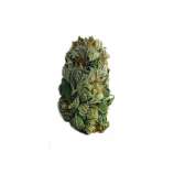 Fatbush Seeds AK47 Autoflowering