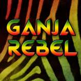Ganja Rebel Seeds Headband x DSD