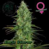 Growers Choice Jack Herer