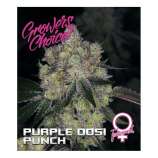 Growers Choice Purple Dosi Punch