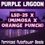 Happy Bird Seeds Purple Lagoon