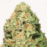 Heavyweight Seeds Fruit Punch