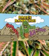 Herbies Seeds Bruce Banner #3
