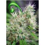 Kiwiseeds Alegria