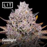 Lit Farms Gaslight