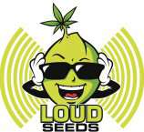Loud Seeds Strawberry Durban Diesel