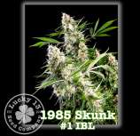 Lucky 13 Seed Company 1985 Skunk #1 IBL