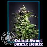 Lucky 13 Seed Company Island Sweet Skunk Remix