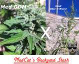 MadCat's Backyard Stash Medi GOMI