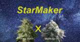 MadCat's Backyard Stash StarMaker