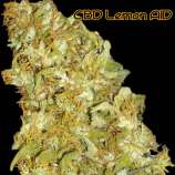 Original Sensible Seeds CBD Lemon AID