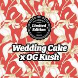 Philosopher Seeds Wedding Cake x OG Kush