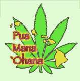 Pua Mana Pakalolo '98 Aloha White Widow