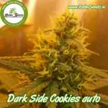 Rebel Seeds Dark Side Cookies Auto