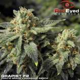 RedEyed Genetics Grapist F2