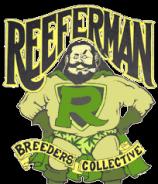 Reefermans Seeds Cam1 x C99