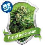 Royal Queen Seeds Diesel Automatic